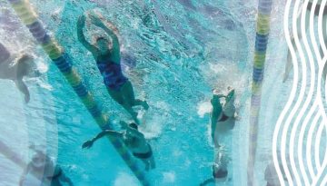 53708097_328582864514330_1941943066017398784_n