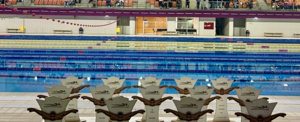 WhatsApp Image 2025-12-15 at 12.14.58