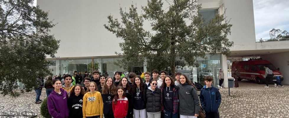 WhatsApp Image 2026-01-27 at 09.59.47 (3)